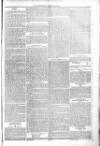 Poole Telegram Friday 29 April 1881 Page 3