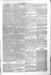 Poole Telegram Friday 06 May 1881 Page 5