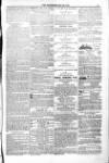Poole Telegram Friday 20 May 1881 Page 15