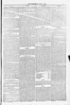 Poole Telegram Friday 01 July 1881 Page 7