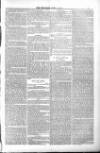 Poole Telegram Friday 06 April 1883 Page 7