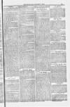 Poole Telegram Friday 04 January 1884 Page 13