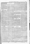 Poole Telegram Friday 29 February 1884 Page 13