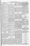 Poole Telegram Friday 06 June 1884 Page 11