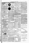 Poole Telegram Friday 13 June 1884 Page 15