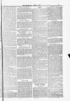 Poole Telegram Friday 27 June 1884 Page 5