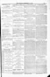 Poole Telegram Friday 19 December 1884 Page 11