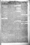 Poole Telegram Friday 23 April 1886 Page 7