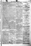Poole Telegram Friday 23 April 1886 Page 9