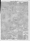 Preston Pilot Wednesday 31 January 1877 Page 5