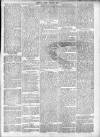 Preston Pilot Wednesday 21 March 1877 Page 3