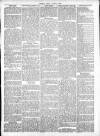 Preston Pilot Wednesday 27 June 1877 Page 7