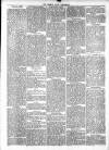 Preston Pilot Wednesday 31 October 1877 Page 6