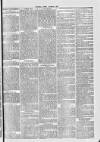 Preston Pilot Wednesday 19 March 1879 Page 7