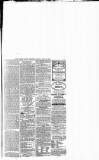 Dorset County Express and Agricultural Gazette Tuesday 22 June 1869 Page 7