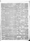Dorset County Express and Agricultural Gazette Tuesday 13 February 1877 Page 3