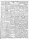 Ripon Observer Thursday 17 September 1903 Page 3