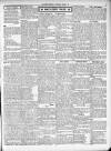 Ripon Observer Thursday 20 October 1904 Page 3