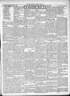 Ripon Observer Thursday 27 October 1904 Page 3