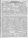 Ripon Observer Thursday 09 February 1905 Page 3