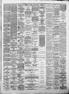 Rutherglen Reformer Saturday 18 January 1879 Page 3