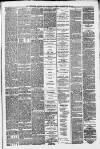 Rutherglen Reformer Saturday 24 May 1879 Page 3