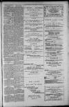 Rutherglen Reformer Friday 01 January 1886 Page 7