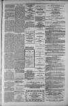 Rutherglen Reformer Friday 05 March 1886 Page 5