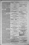 Rutherglen Reformer Friday 05 March 1886 Page 7