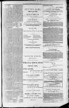 Rutherglen Reformer Friday 18 March 1887 Page 7
