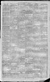 Rutherglen Reformer Friday 02 January 1891 Page 3