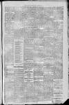 Rutherglen Reformer Friday 02 January 1891 Page 5