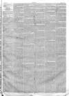 Liverpool Albion Monday 24 April 1871 Page 9