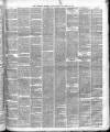 Liverpool Albion Saturday 16 April 1881 Page 3