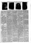 North Wales Weekly News Friday 26 April 1901 Page 7