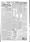 North Wales Weekly News Friday 15 August 1902 Page 11