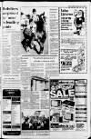 North Wales Weekly News Thursday 05 November 1981 Page 3