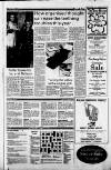 North Wales Weekly News Thursday 06 January 1983 Page 25