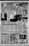 North Wales Weekly News Thursday 02 August 1984 Page 31