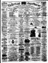 Herts and Essex Observer Saturday 13 January 1877 Page 1