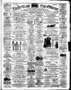 Herts and Essex Observer Saturday 17 February 1877 Page 1