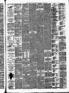 Herts and Essex Observer Saturday 21 June 1879 Page 3