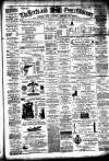 Herts and Essex Observer Saturday 17 January 1880 Page 1