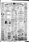 Herts and Essex Observer Saturday 12 August 1882 Page 1