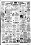 Herts and Essex Observer Saturday 23 February 1884 Page 1