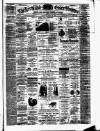 Herts and Essex Observer Saturday 20 March 1886 Page 1