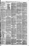 Wolverhampton Express and Star Wednesday 04 June 1879 Page 3