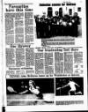 Marylebone Mercury Friday 19 June 1981 Page 39
