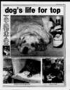 Marylebone Mercury Thursday 16 February 1989 Page 9
