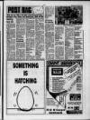 Marylebone Mercury Wednesday 03 February 1993 Page 5